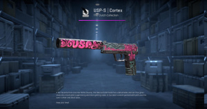 USP-S | Cortex (Minimal Wear) Screenshot