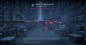 M4A1-S | Black Lotus (Minimal Wear) Screenshot