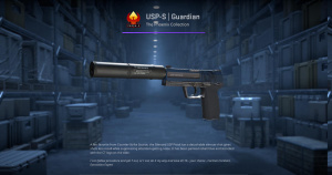 USP-S | Guardian (Factory New) Screenshot