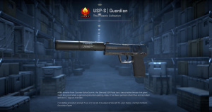 USP-S | Guardian (Factory New) Screenshot