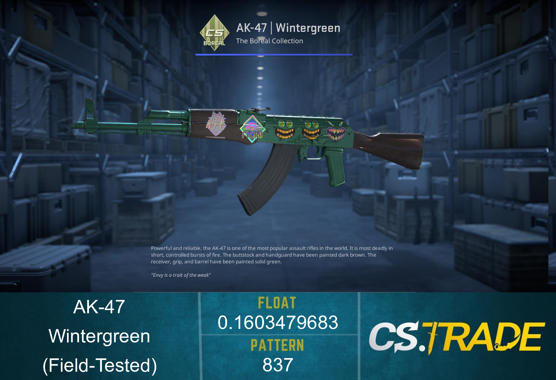 AK-47 | Wintergreen (Field-Tested) Screenshot