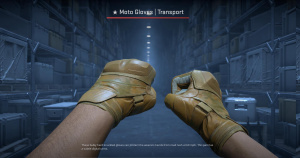 ★ Moto Gloves | Transport (Minimal Wear) Screenshot