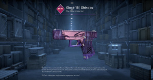 Glock-18 | Shinobu (Well-Worn) Screenshot