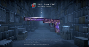 USP-S | Purple DDPAT (Factory New) Screenshot