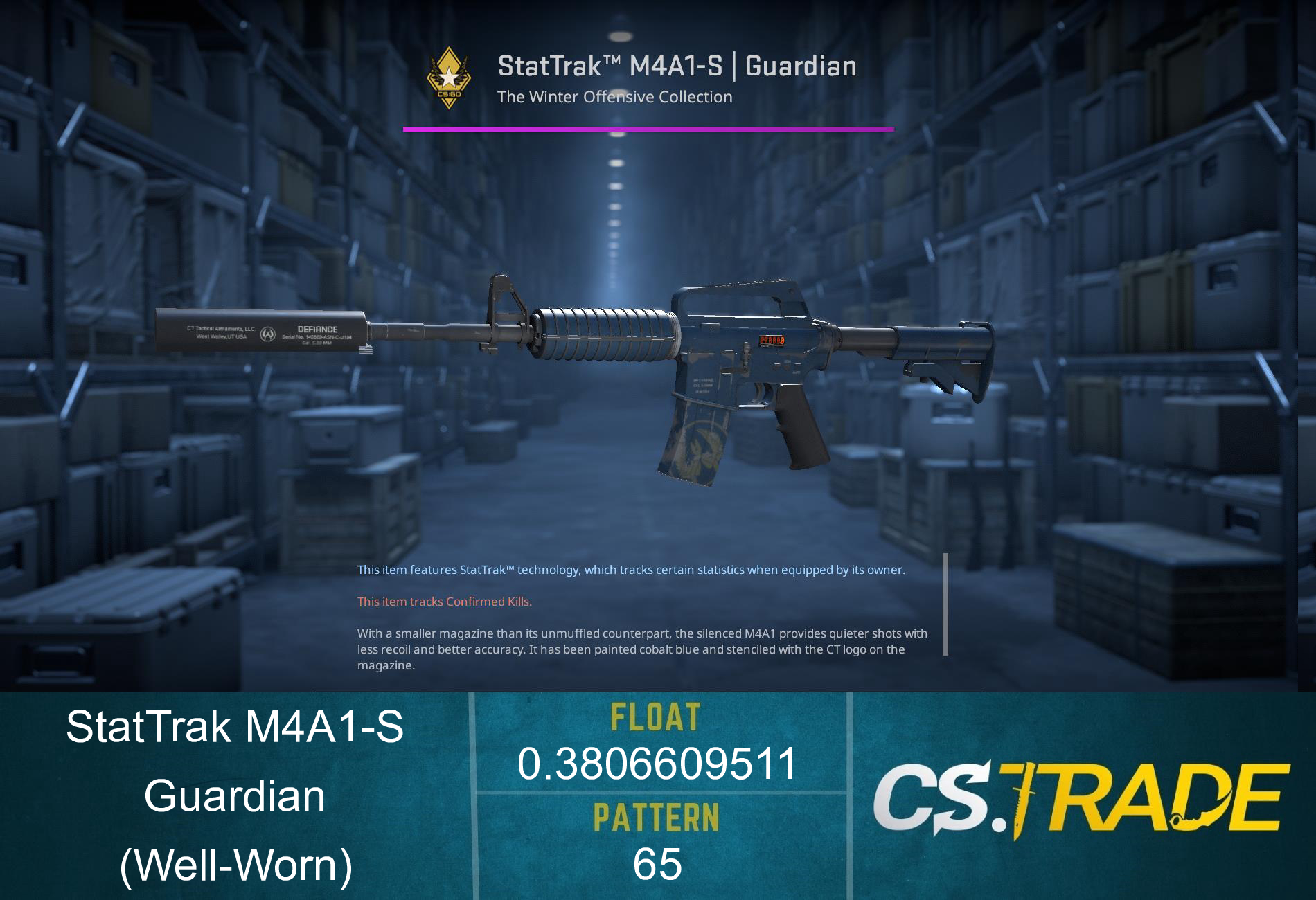 StatTrak™ M4A1-S | Guardian (Well-Worn) Screenshot