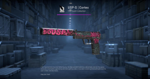 USP-S | Cortex (Battle-Scarred) Screenshot