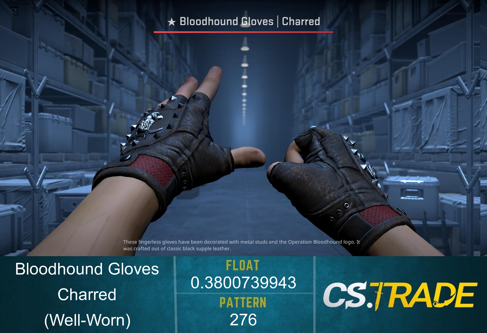 ★ Bloodhound Gloves | Charred (Well-Worn) Screenshot