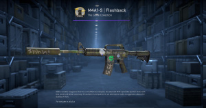 M4A1-S | Flashback (Factory New) Screenshot