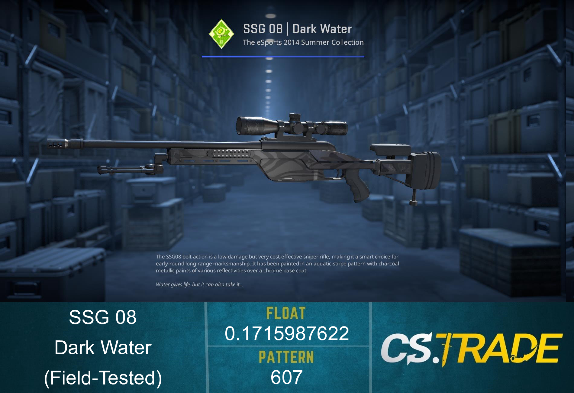 SSG 08 | Dark Water (Field-Tested) Screenshot