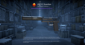 USP-S | Guardian (Factory New) Screenshot
