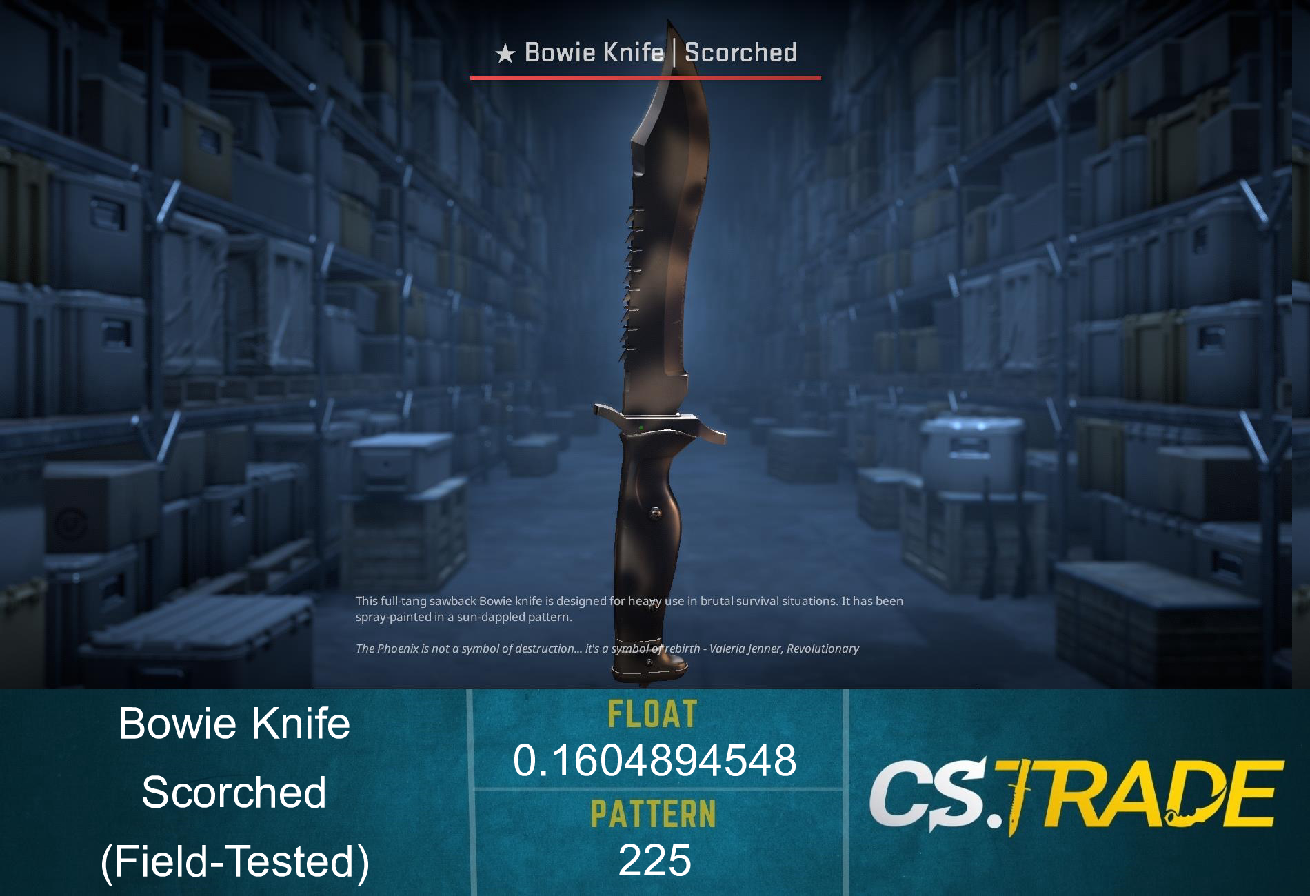 ★ Bowie Knife | Scorched (Field-Tested)