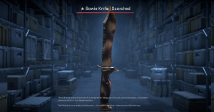 ★ Bowie Knife | Scorched (Field-Tested) Screenshot