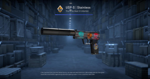 USP-S | Stainless (Field-Tested) Screenshot