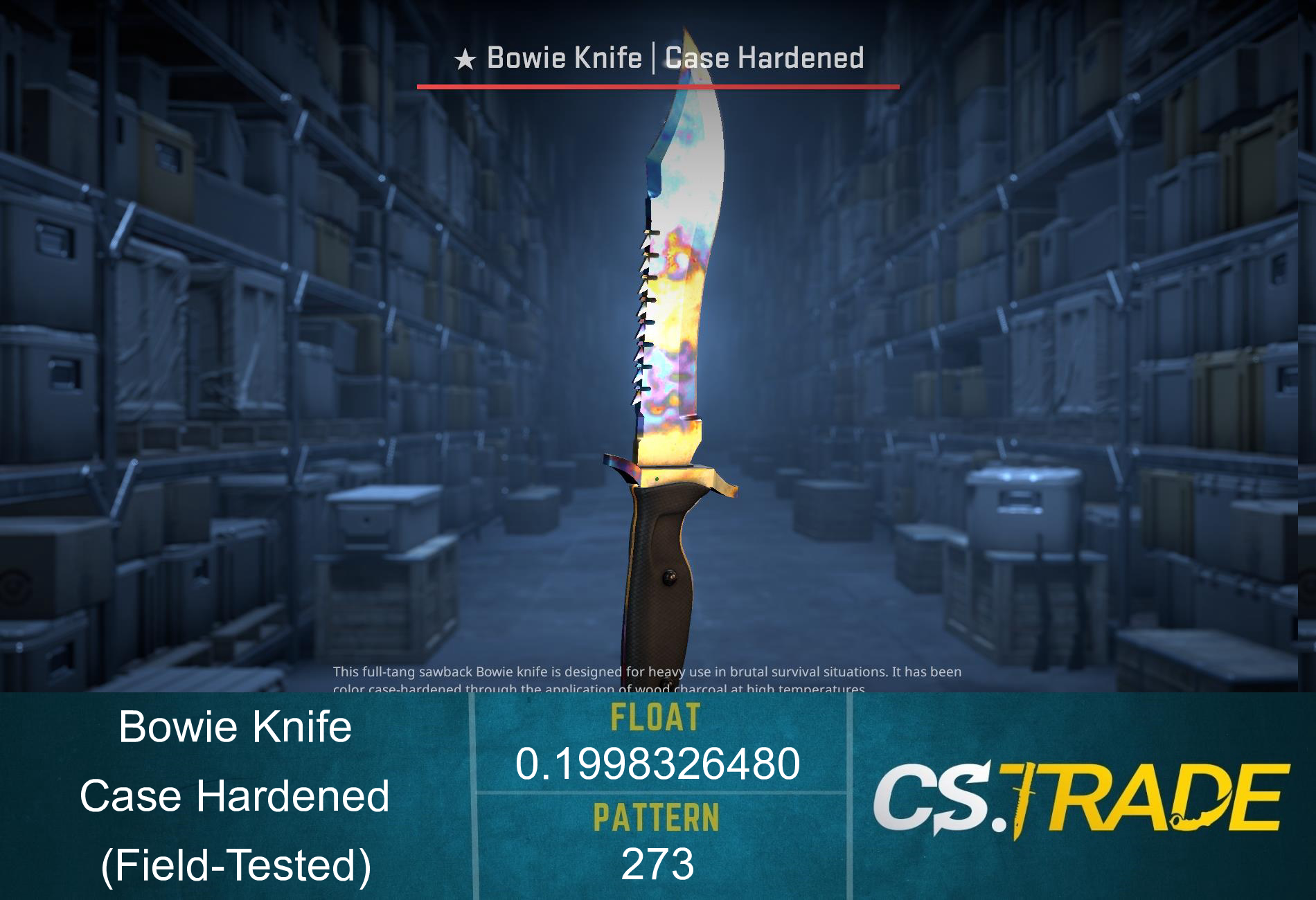 ★ StatTrak™ Bowie Knife | Case Hardened (Field-Tested) Screenshot