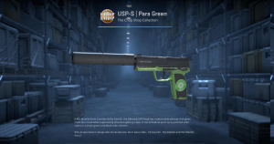 USP-S | Para Green (Minimal Wear) Screenshot