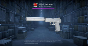 USP-S | Whiteout (Field-Tested) Screenshot