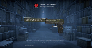 USP-S | Flashback (Factory New) Screenshot