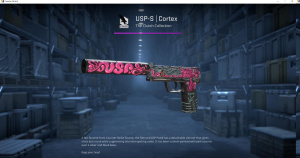 USP-S | Cortex (Well-Worn) Screenshot