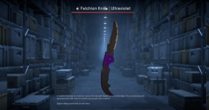 ★ Falchion Knife | Ultraviolet (Field-Tested) Screenshot
