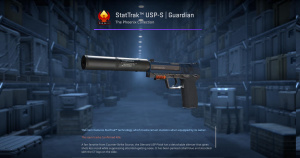 StatTrak™ USP-S | Guardian (Factory New) Screenshot