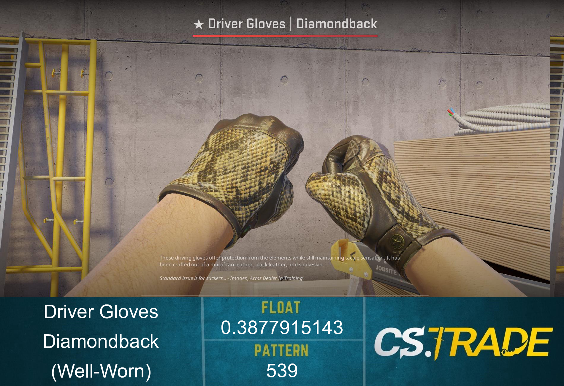 ★ Driver Gloves | Diamondback (Well-Worn) Screenshot