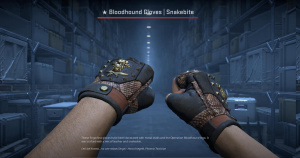 ★ Bloodhound Gloves | Snakebite (Well-Worn) Screenshot