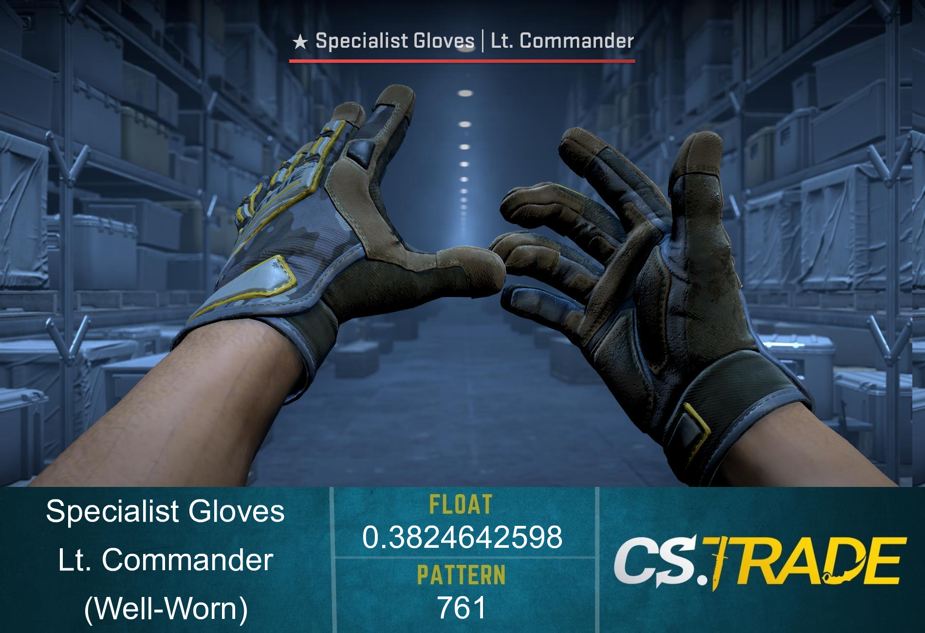 ★ Specialist Gloves | Lt. Commander (Well-Worn) Screenshot