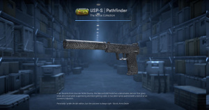 USP-S | Pathfinder (Factory New) Screenshot