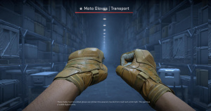 ★ Moto Gloves | Transport (Field-Tested) Screenshot