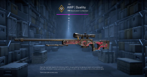 AWP | Duality (Field-Tested) Screenshot