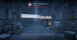 USP-S | Printstream (Field-Tested) Screenshot
