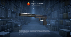 USP-S | Guardian (Factory New) Screenshot