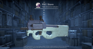 P90 | Storm (Field-Tested) Screenshot