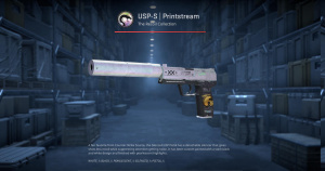 USP-S | Printstream (Battle-Scarred) Screenshot