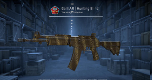 Galil AR | Hunting Blind (Field-Tested) Screenshot