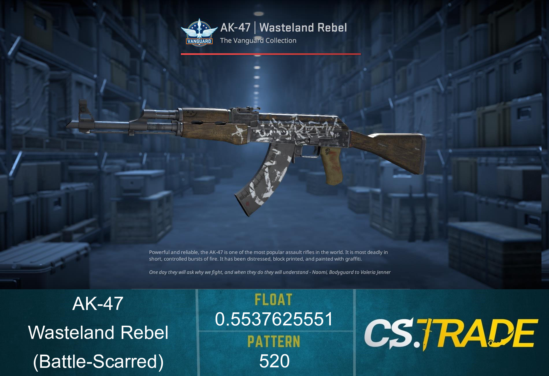 StatTrak™ AK-47 | Wasteland Rebel (Battle-Scarred) Screenshot