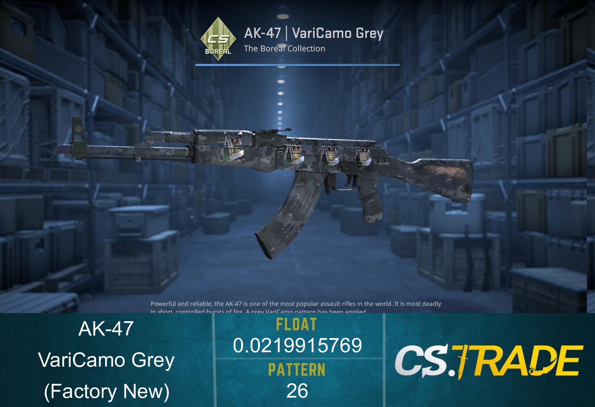 AK-47 | VariCamo Grey (Factory New) Screenshot