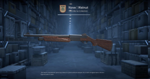 Nova | Walnut (Factory New) Screenshot