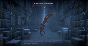 ★ Karambit | Ultraviolet (Field-Tested) Screenshot