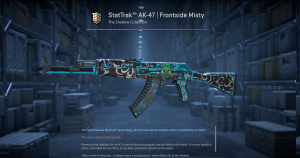 StatTrak™ AK-47 | Frontside Misty (Battle-Scarred) Screenshot