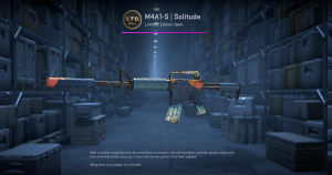 M4A1-S | Solitude (Minimal Wear) Screenshot