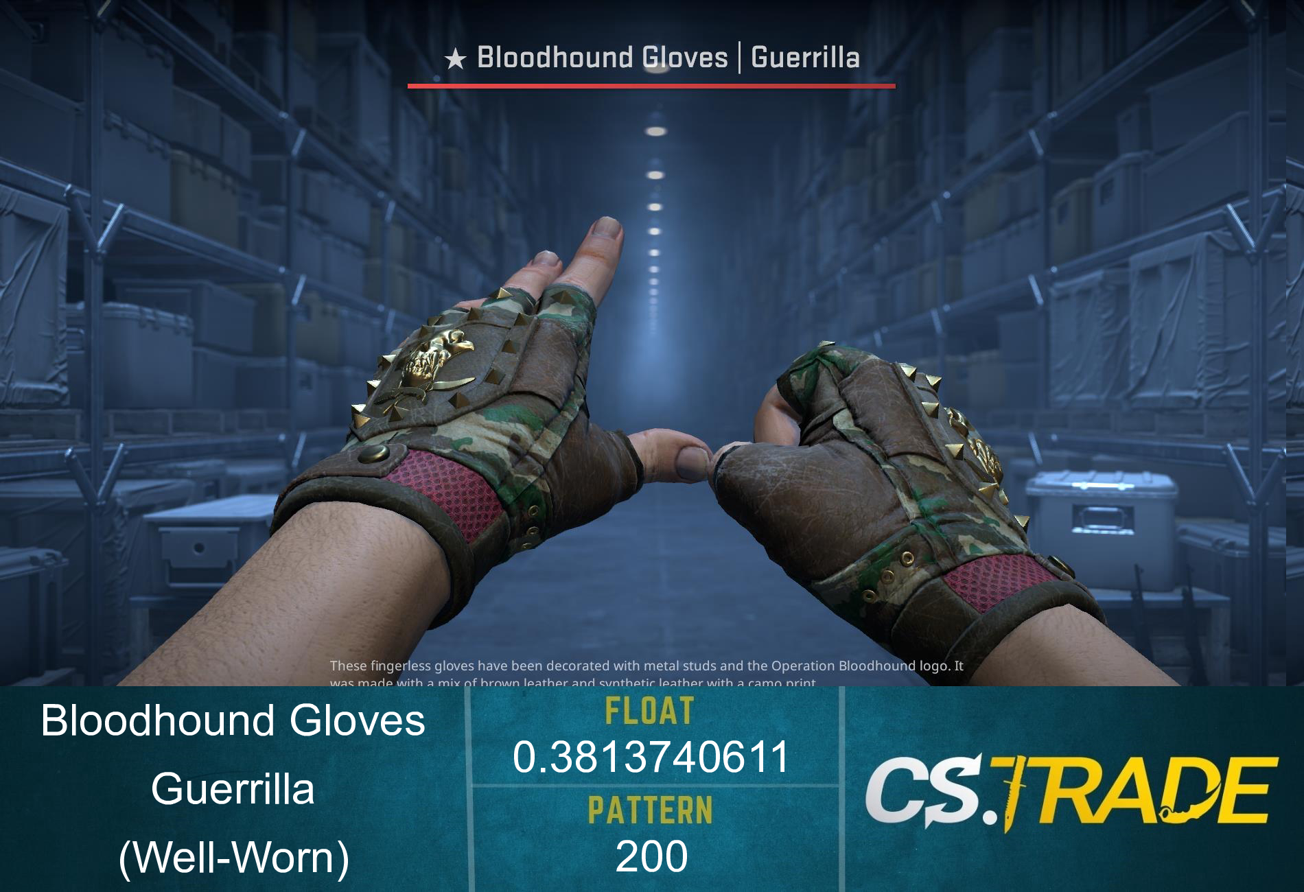 ★ Bloodhound Gloves | Guerrilla (Well-Worn) Screenshot
