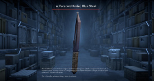 ★ Paracord Knife | Blue Steel (Well-Worn) Screenshot