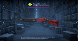 Nova | Bloomstick (Field-Tested) Screenshot