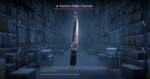 ★ Skeleton Knife | Stained (Minimal Wear) Screenshot