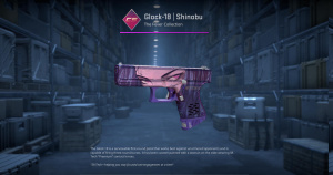 Glock-18 | Shinobu (Well-Worn) Screenshot
