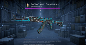 StatTrak™ AK-47 | Frontside Misty (Battle-Scarred) Screenshot