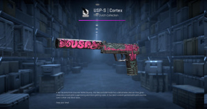 USP-S | Cortex (Well-Worn) Screenshot