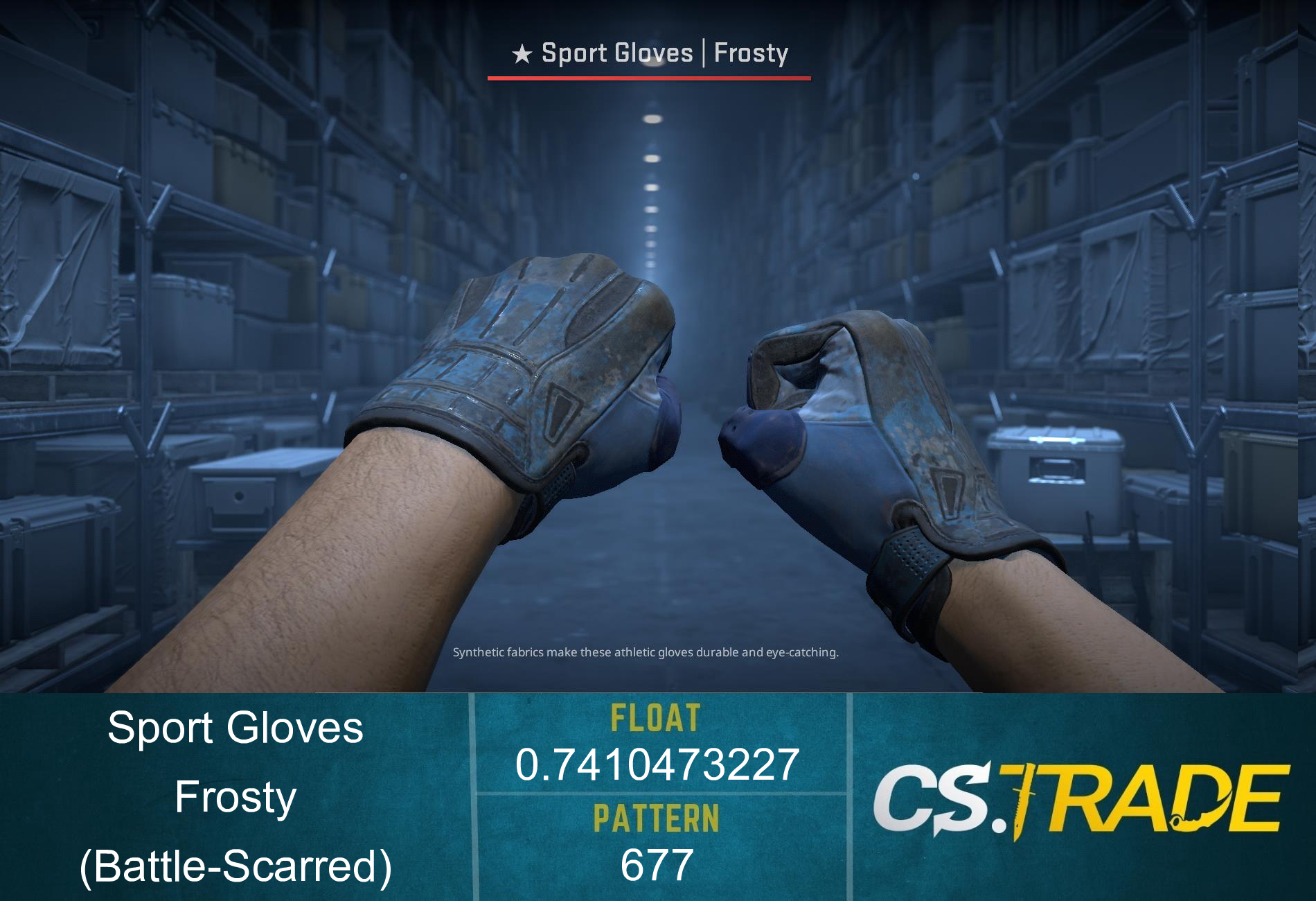★ Sport Gloves | Frosty (Factory New) Screenshot