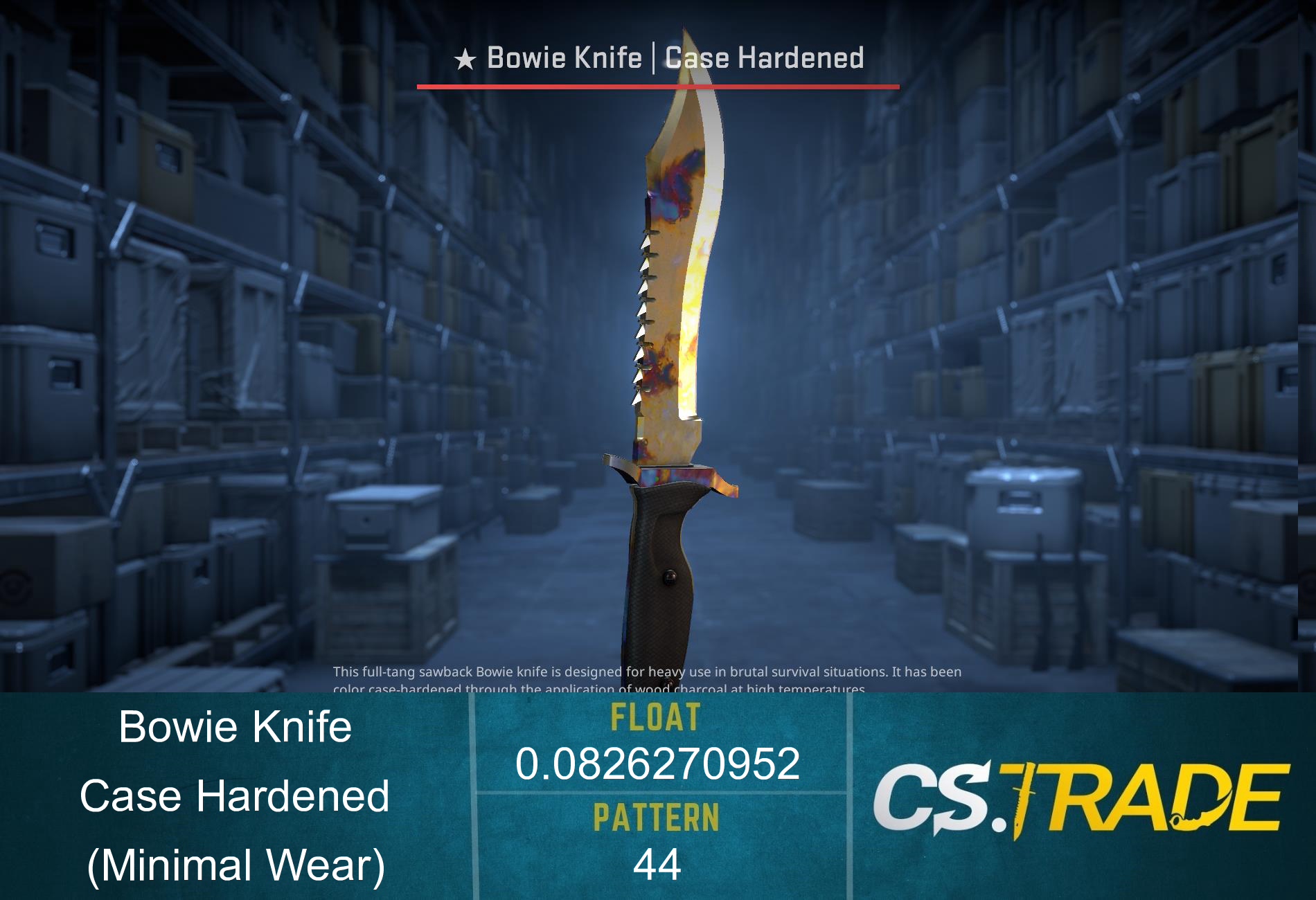 ★ StatTrak™ Bowie Knife | Case Hardened (Minimal Wear) Screenshot